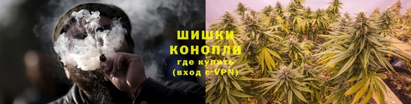 сатива Аркадак