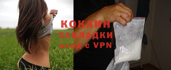 сатива Аркадак