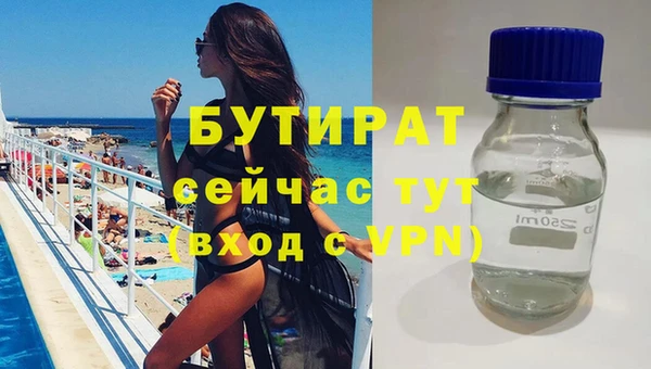 сатива Аркадак