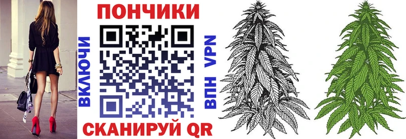 mega как войти  Можга  Бошки марихуана план 